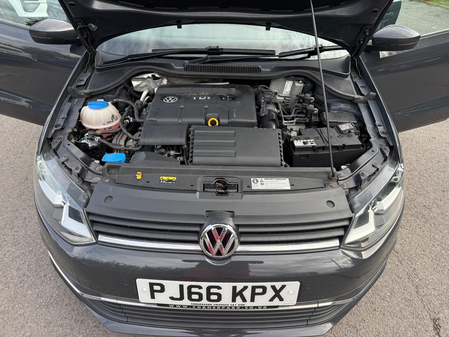 Used Volkswagen Polo 2016 for sale - 76990619: Photo 29