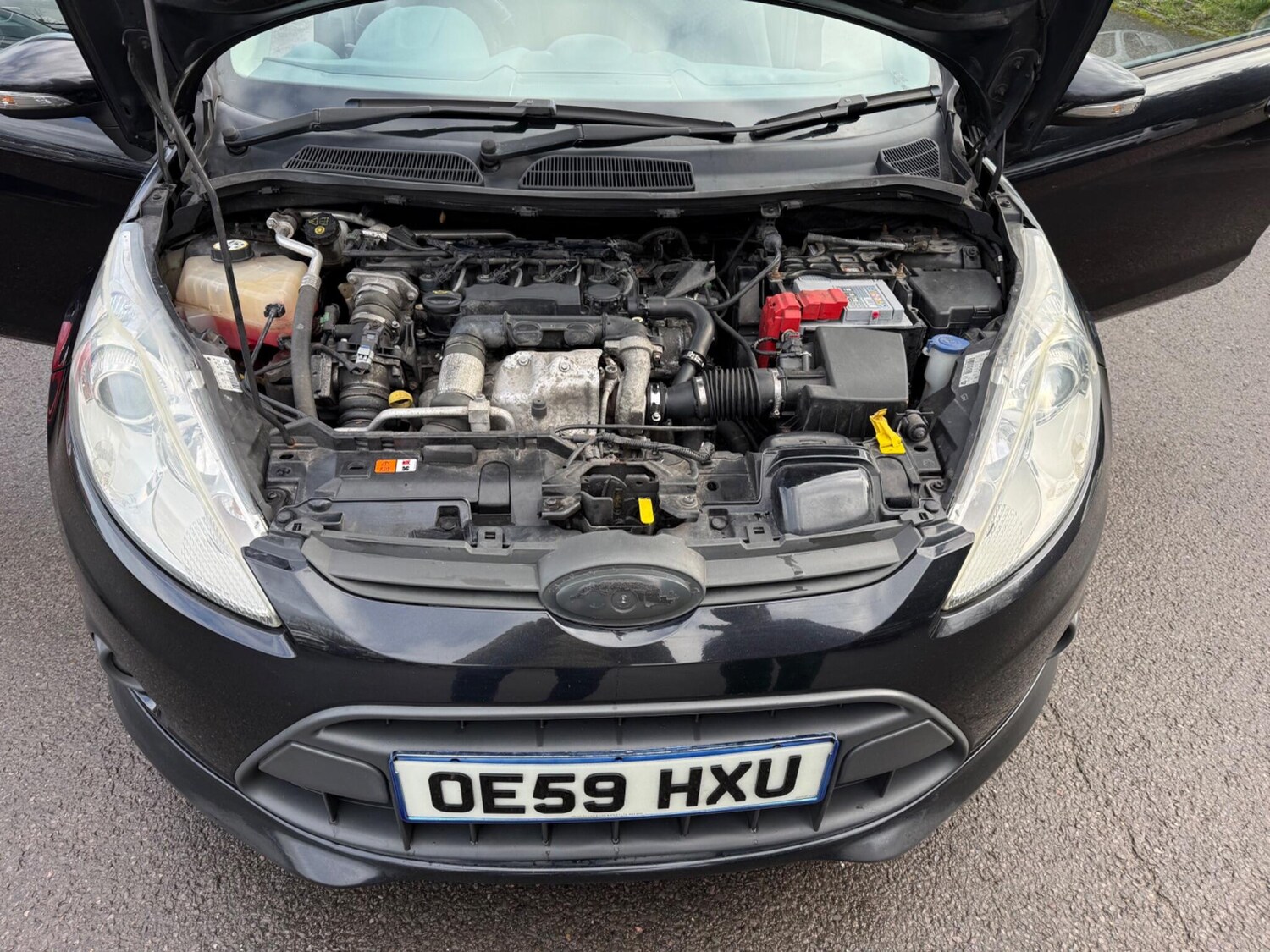 Used Ford Fiesta for sale - 77496059: Photo 22