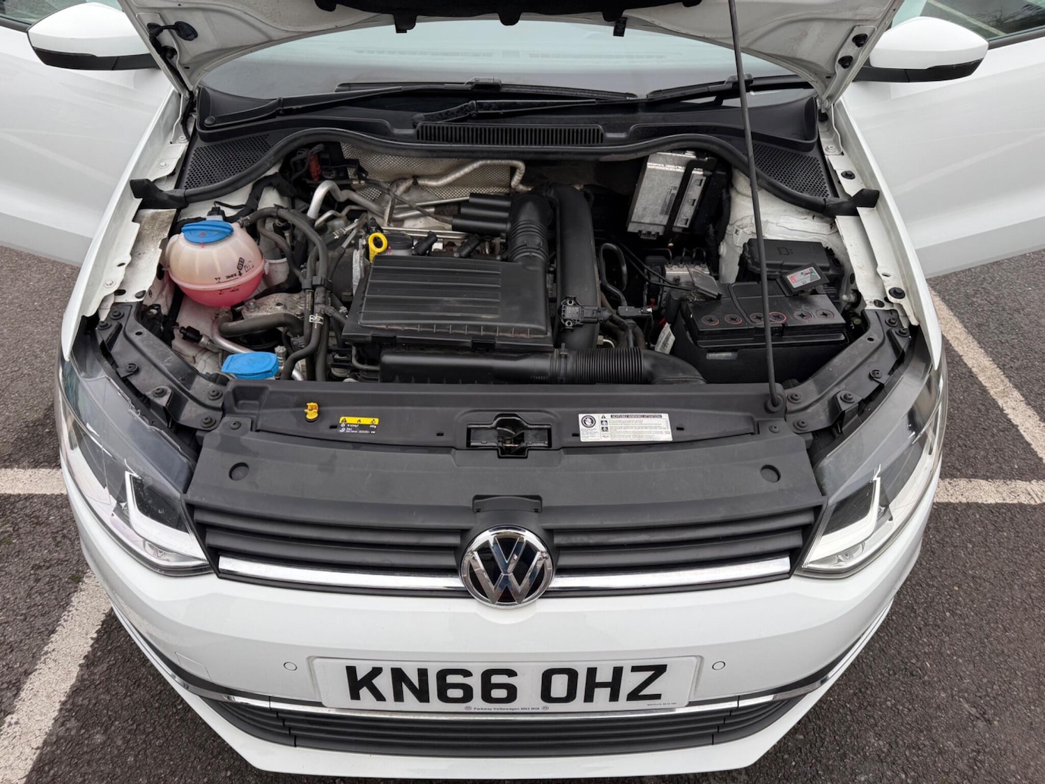 Used Volkswagen Polo 2016 for sale - 77331982: Photo 25