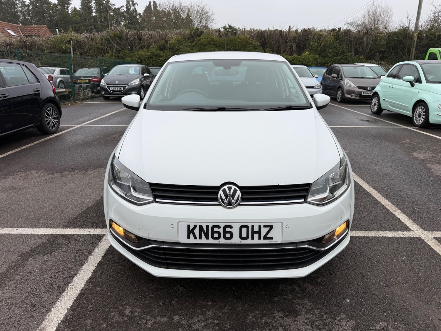 Used Volkswagen Polo 2016 for sale - 77331982: Photo 3