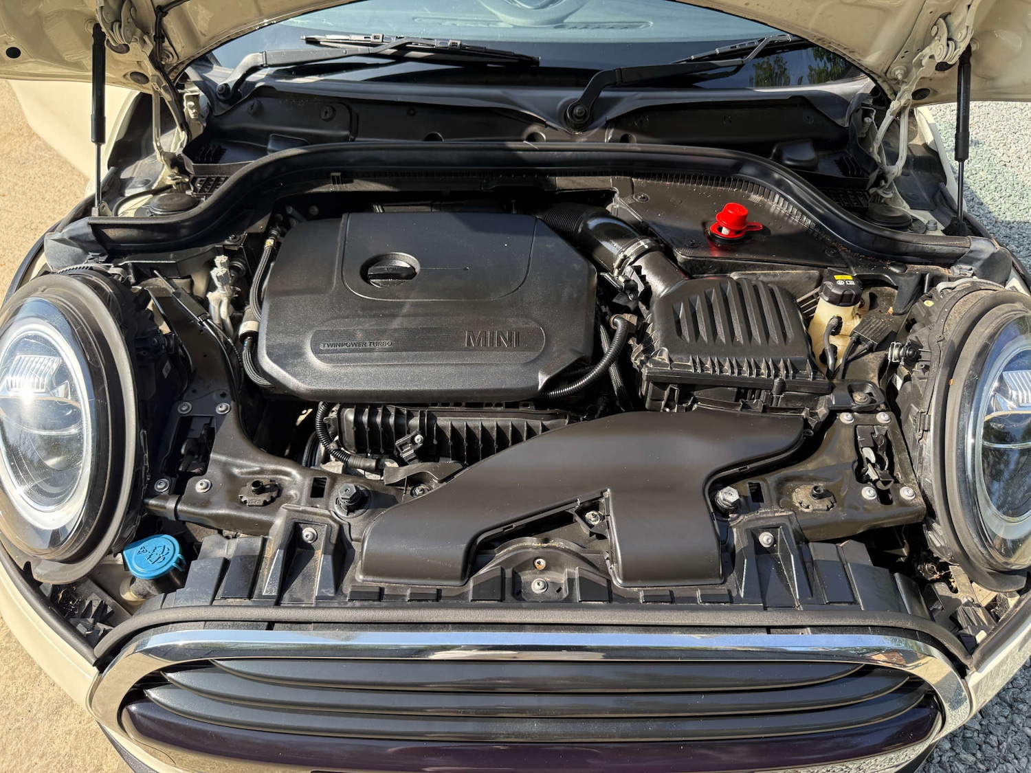 Used MINI Convertible 2018 for sale - 77262705: Photo 77