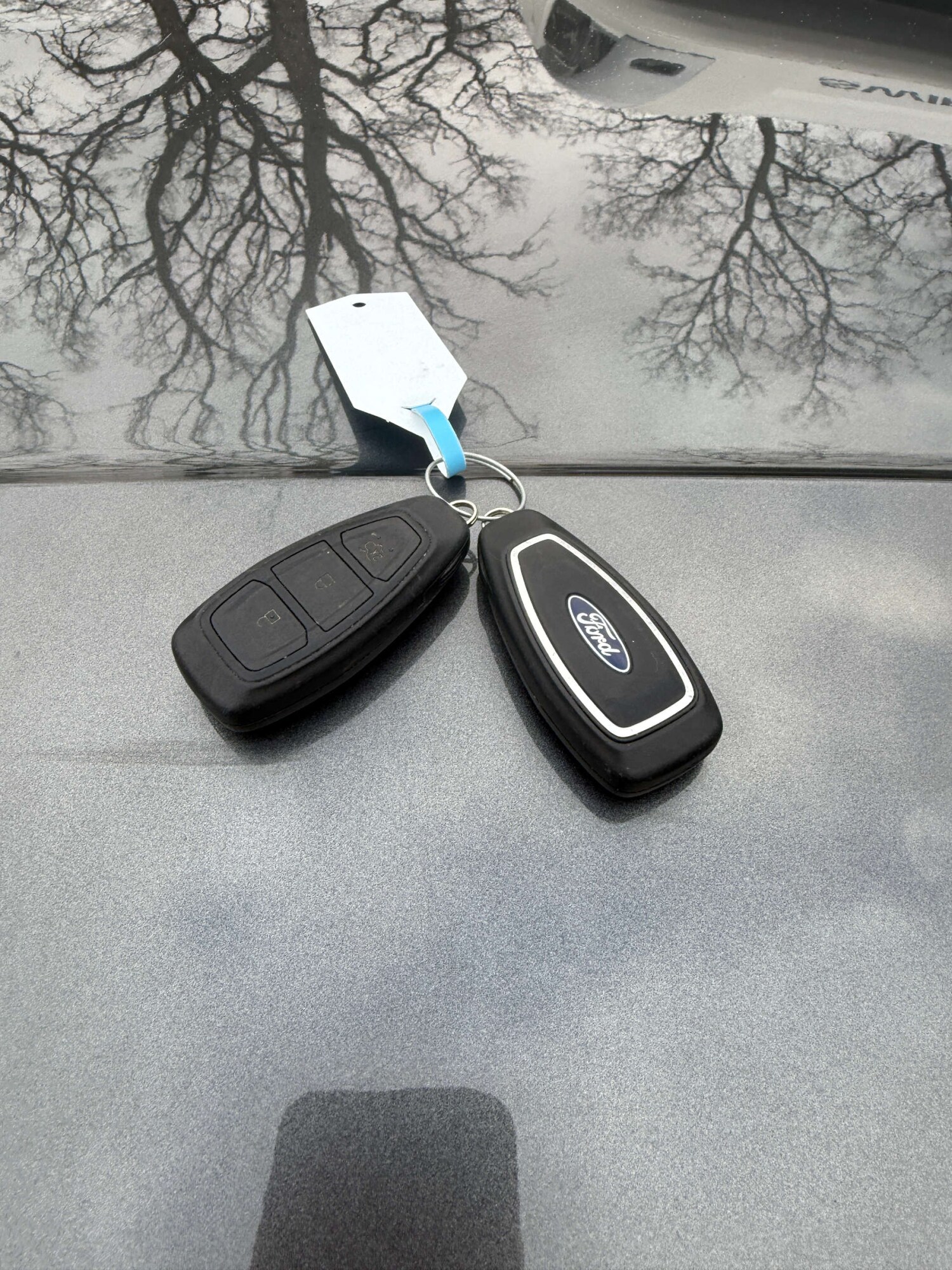 Used Ford Fiesta 2018 for sale - 77366817: Photo 91