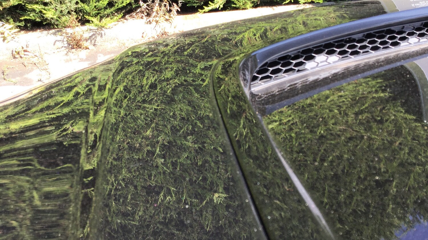 Used Jaguar I-Pace 2023 for sale - 76324971: Photo 20