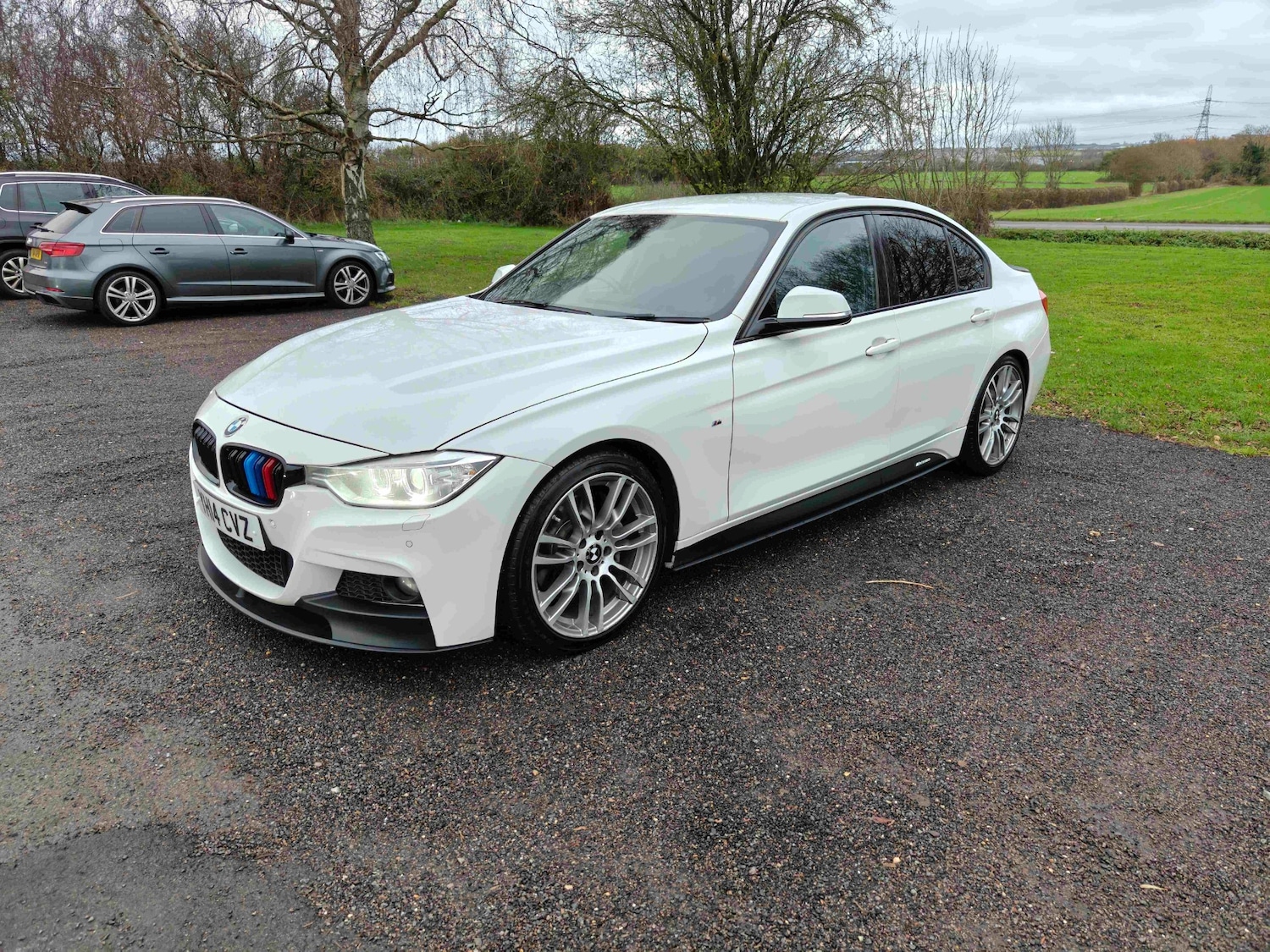 Used BMW 3 Series 2014 for sale - 76687531: Photo 3