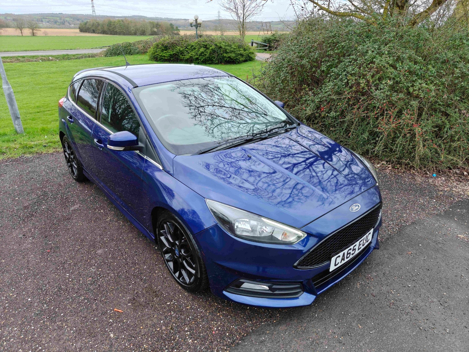 Used Ford Focus 2015 for sale - 77906740: Photo 48