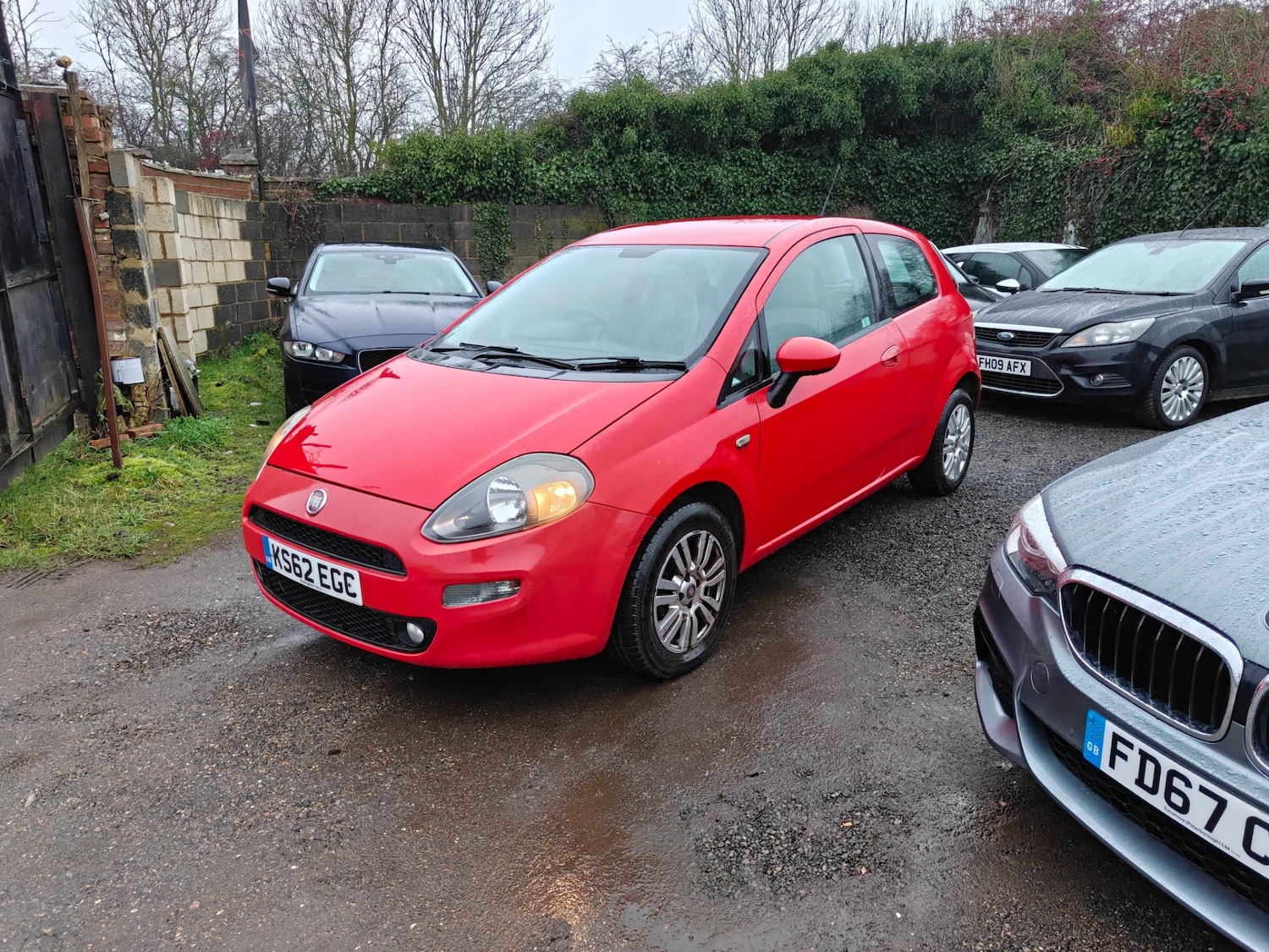 Used Fiat Punto 2013 for sale - 77421174: Photo 3