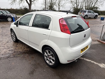 Used Fiat Punto 2016 for sale - 76896591: Photo