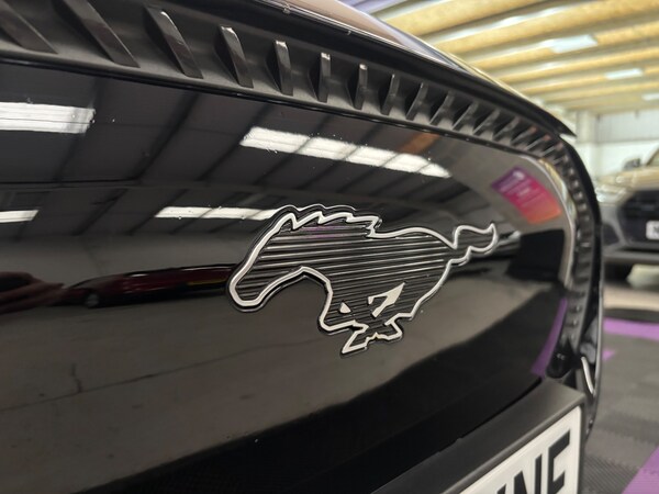 Used Ford Mustang Mach-E 2022 for sale - 76273749: Photo 35