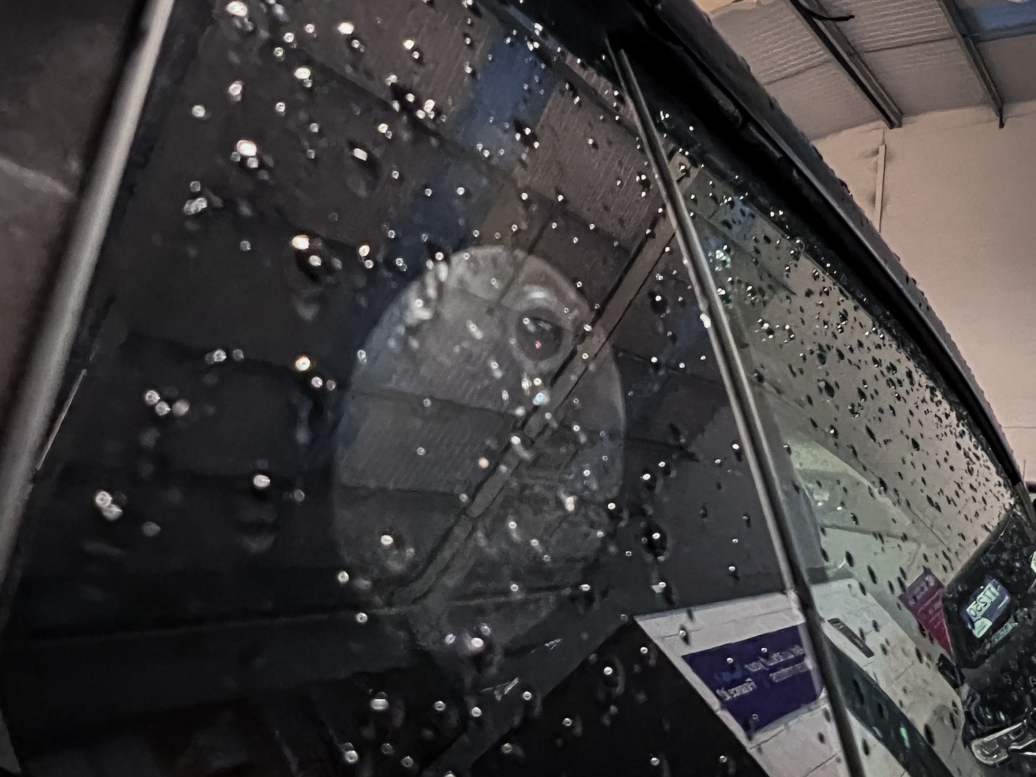 Used Tesla Model 3 2021 for sale - 77297231: Photo 40