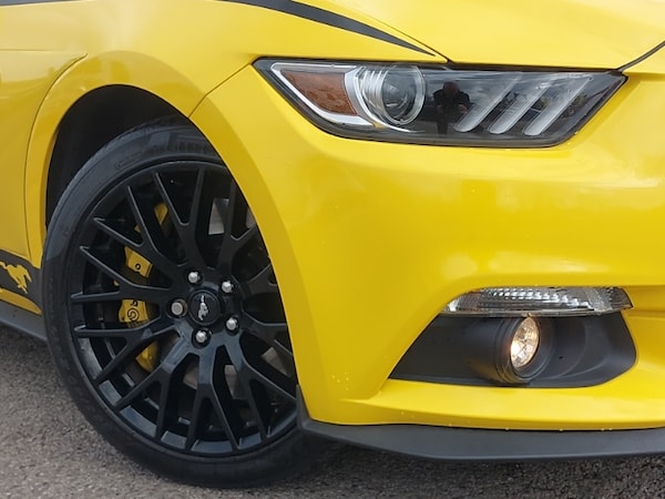 Used Ford Mustang 2016 for sale - 76308926: Photo 9