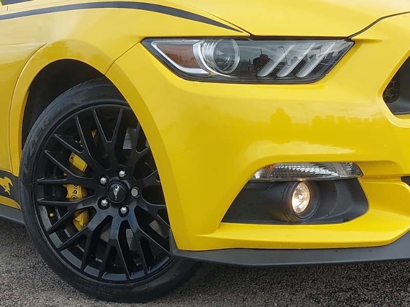 Used Ford Mustang 2016 for sale - 76696080: Photo 9