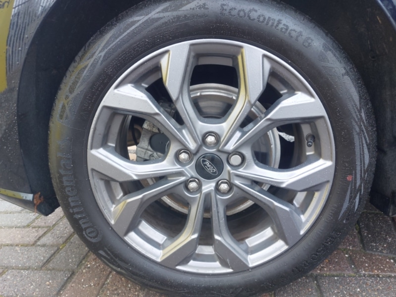 Used Ford Focus 2023 for sale - 77070161: Photo 17