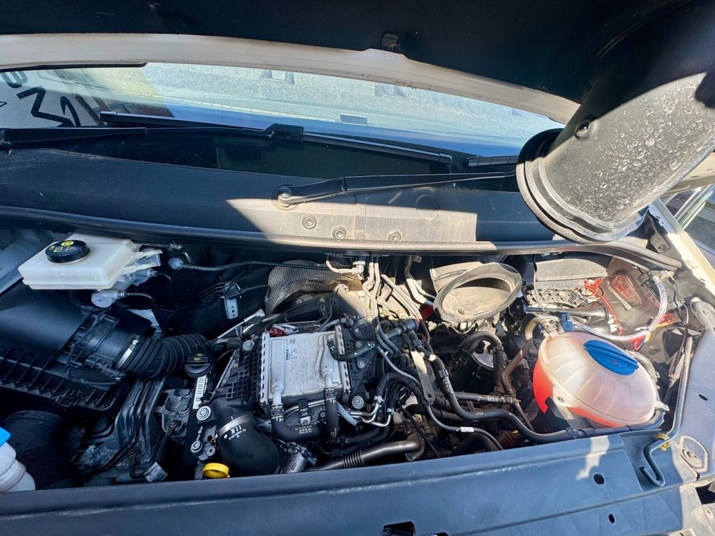 Used MAN TGE 2022 for sale - 78154182: Photo 18