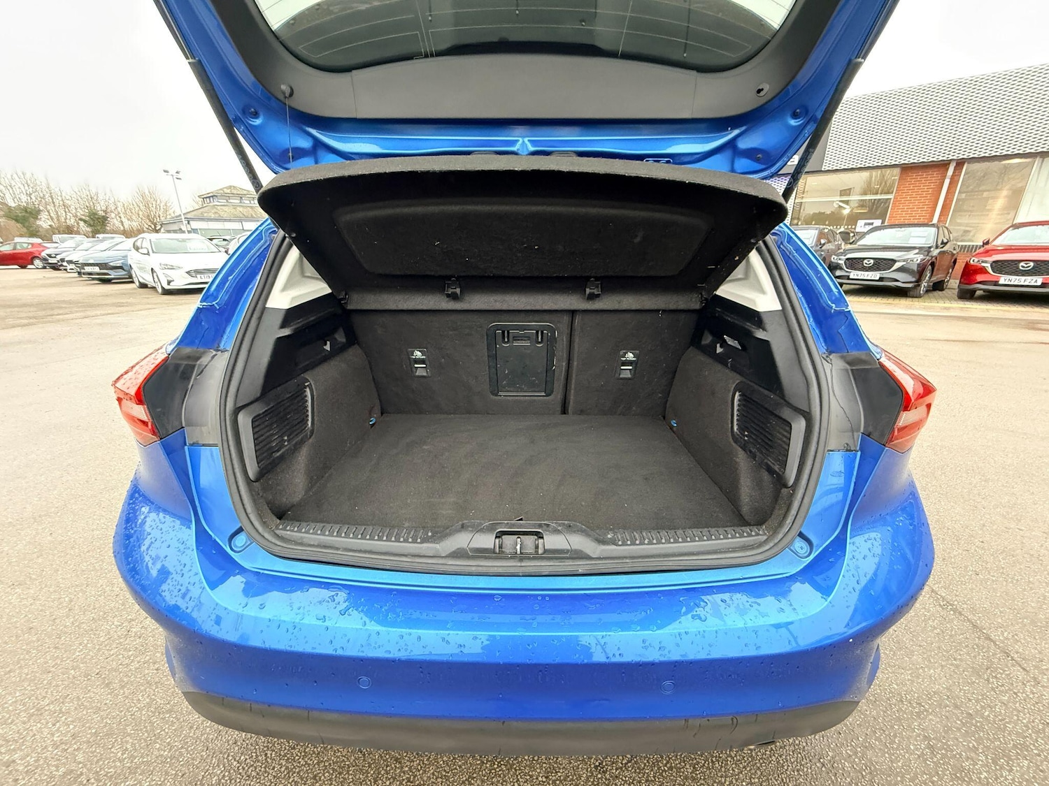 Used Ford Focus 2023 for sale - 77723294: Photo 17