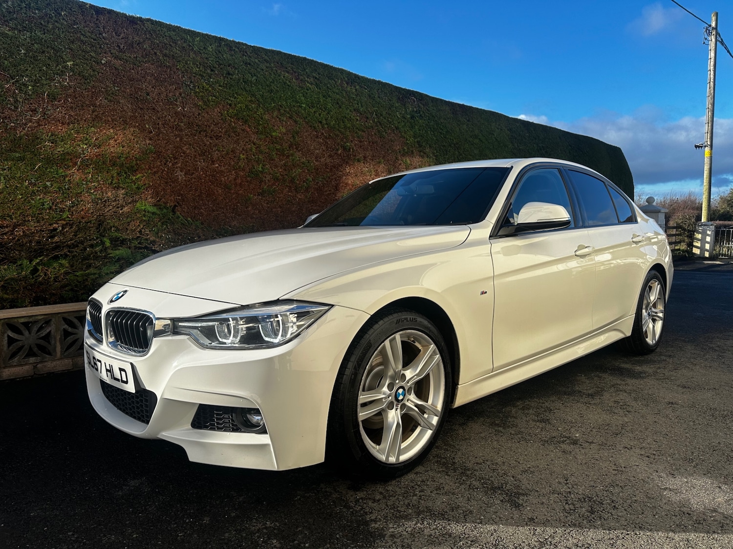 Used BMW 3 Series 2017 for sale - 77189486: Photo 2