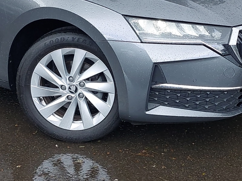 Used Skoda Octavia 2024 for sale - 76174497: Photo 9