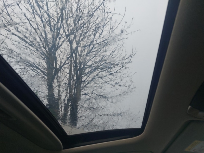 Used Kia Niro 2024 for sale - 76571544: Photo 14