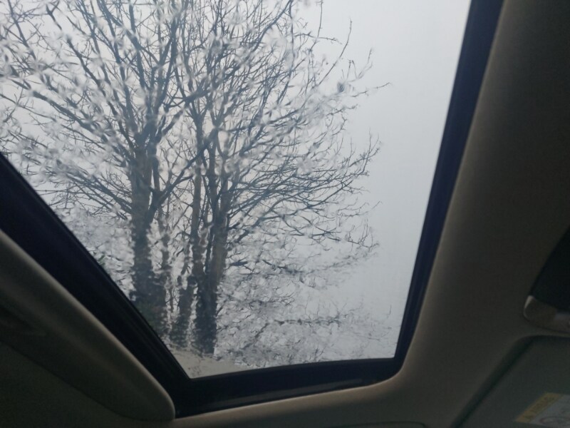 Used Kia Niro 2024 for sale - 77433279: Photo 14