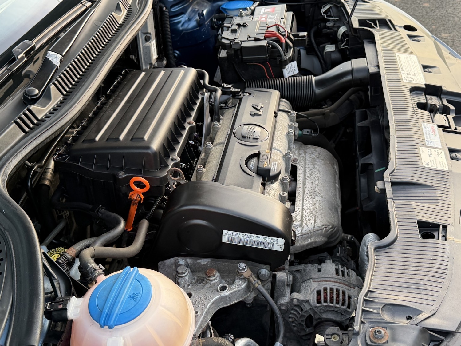 Used SEAT Ibiza 2013 for sale - 76968577: Photo 10