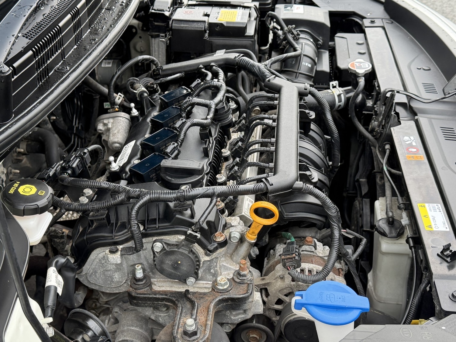 Used Kia Rio 2022 for sale - 77350153: Photo 10