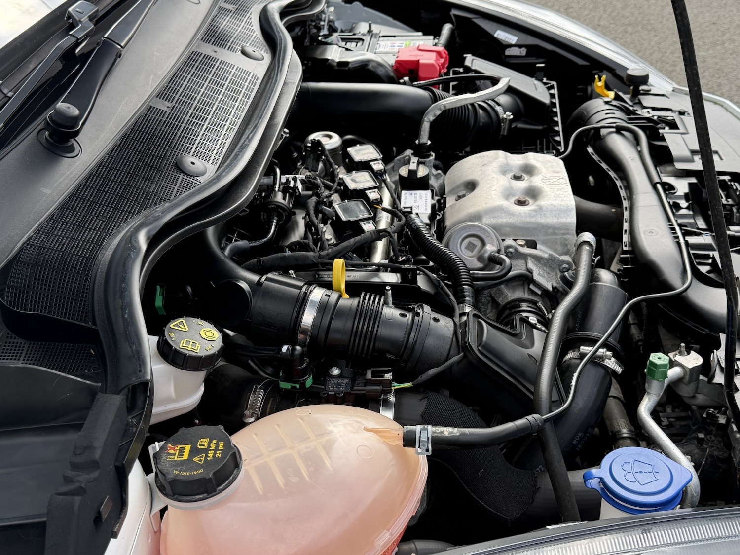 Used Ford Fiesta 2017 for sale - 77822353: Photo 8