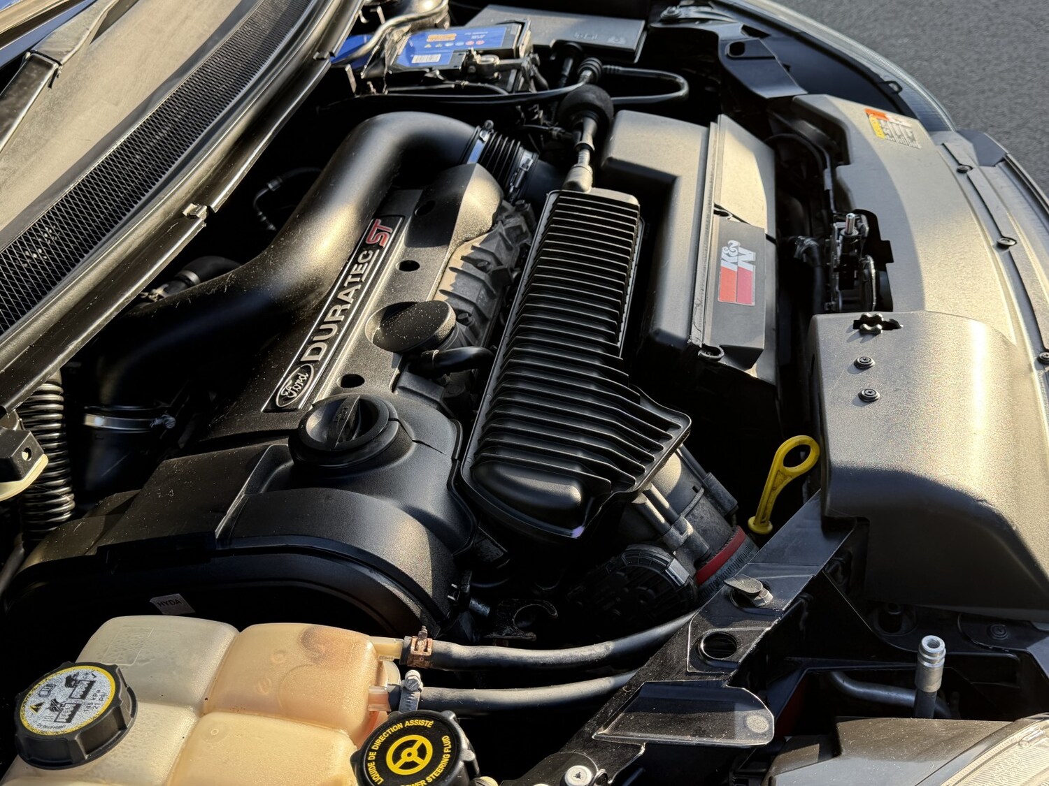 Used Ford Focus 2008 for sale - 77465773: Photo 10