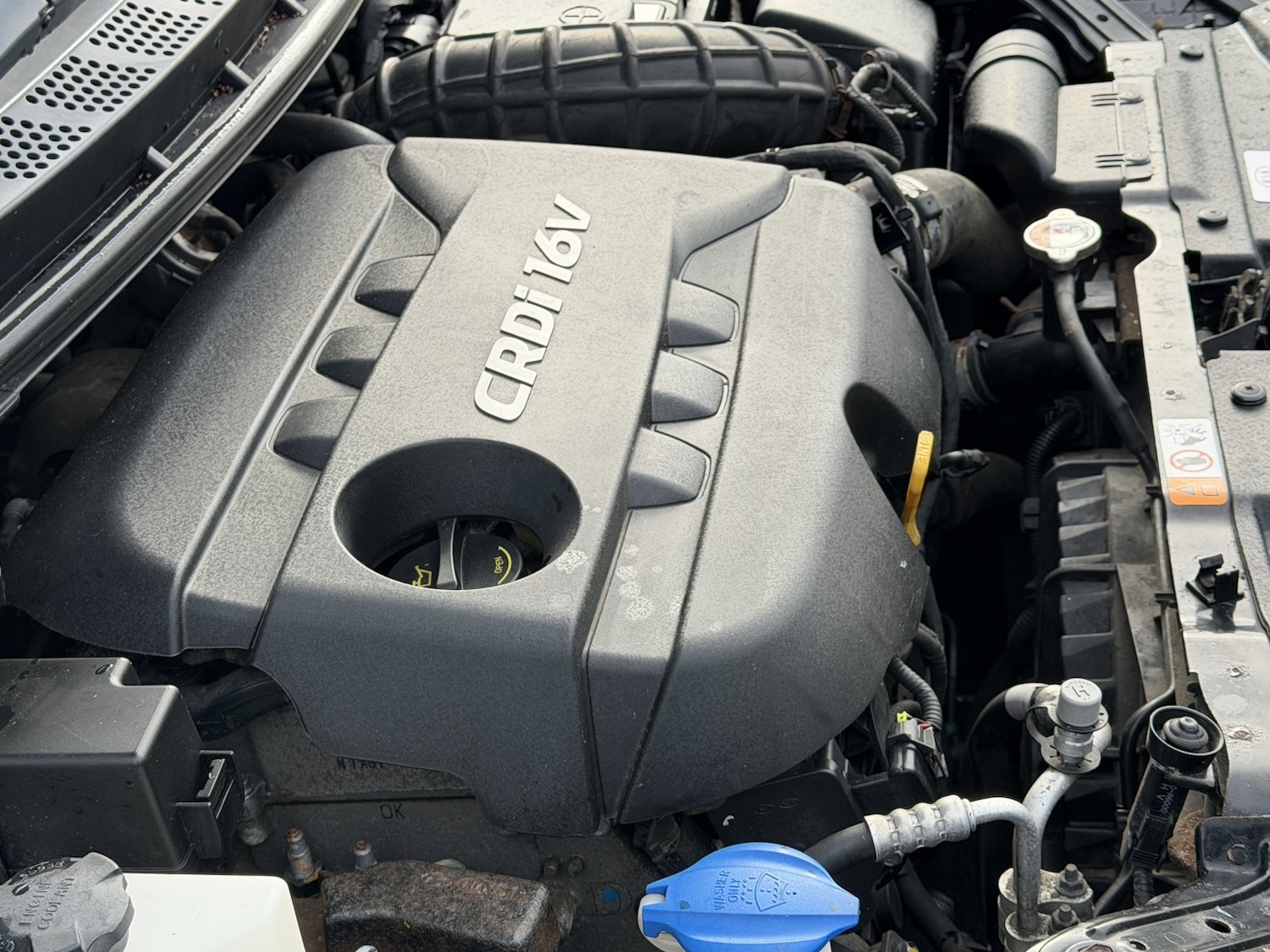 Used Kia Ceed 2014 for sale - 77423413: Photo 10