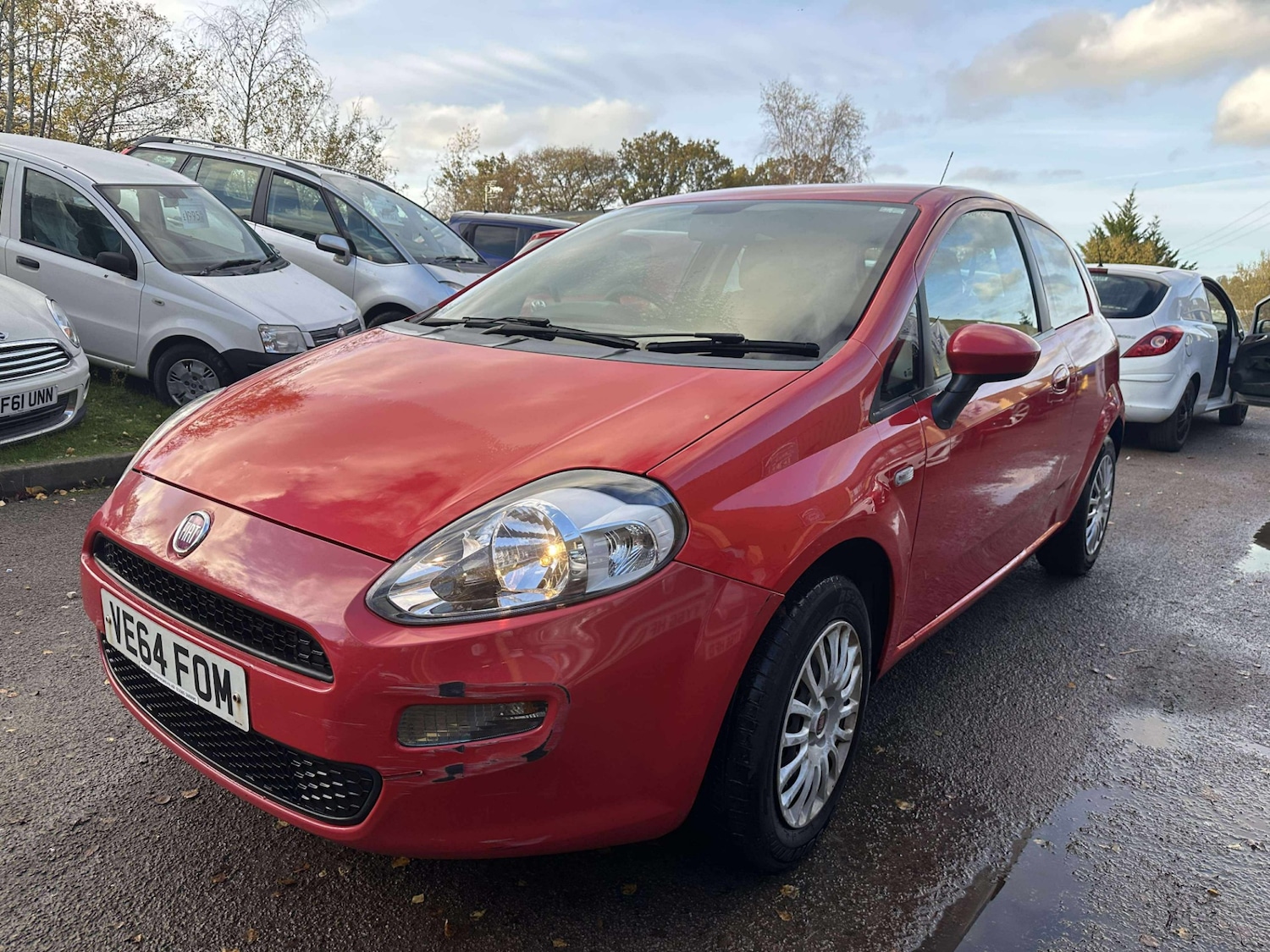 Used Fiat Punto 2014 for sale - 76583443: Photo 5