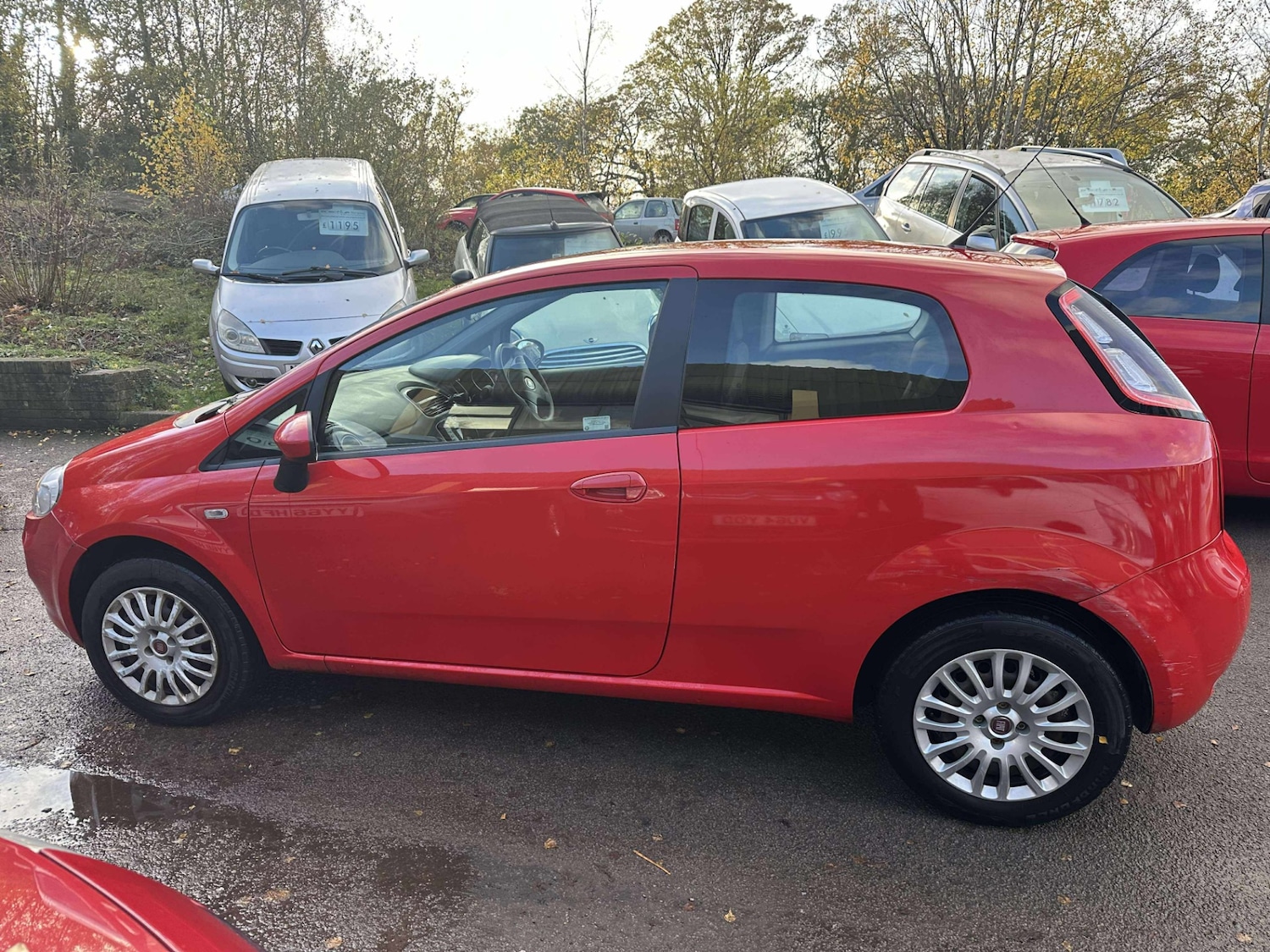 Used Fiat Punto 2014 for sale - 76583443: Photo 8