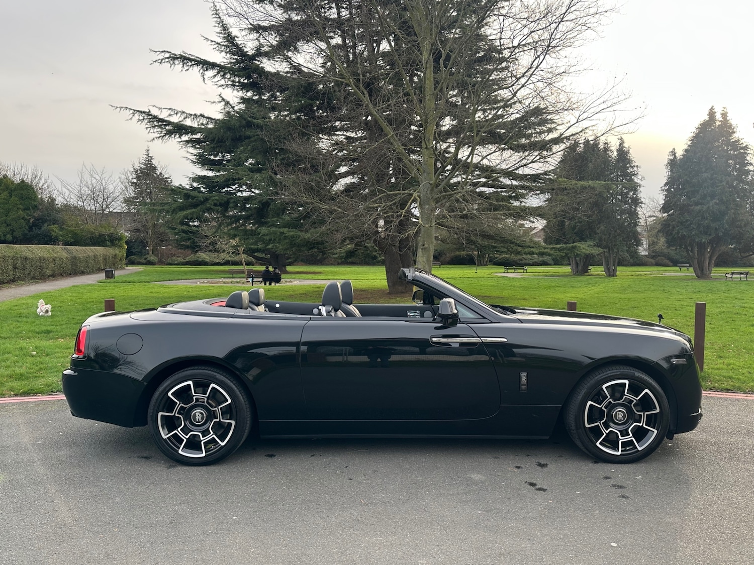 Used Rolls-Royce Silver Dawn 2019 for sale - 77606787: Photo 3