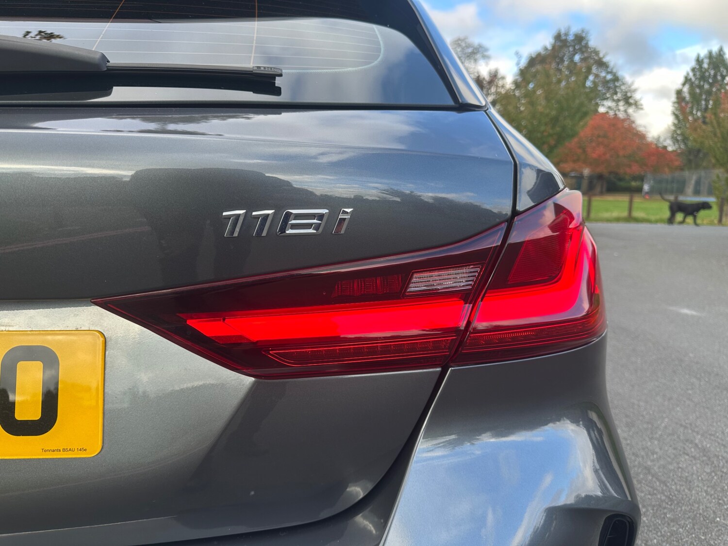 Used BMW 1 Series 2020 for sale - 76252671: Photo 13
