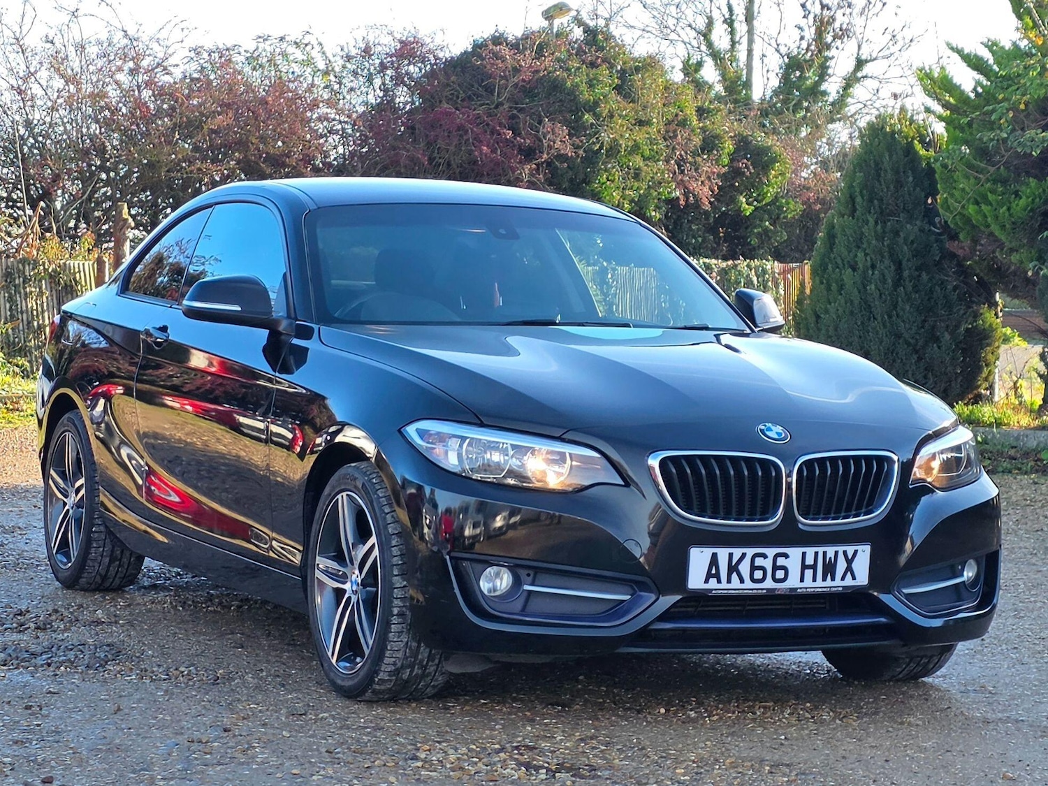 Used BMW 2 Series 2016 for sale - 76935863: Photo 1