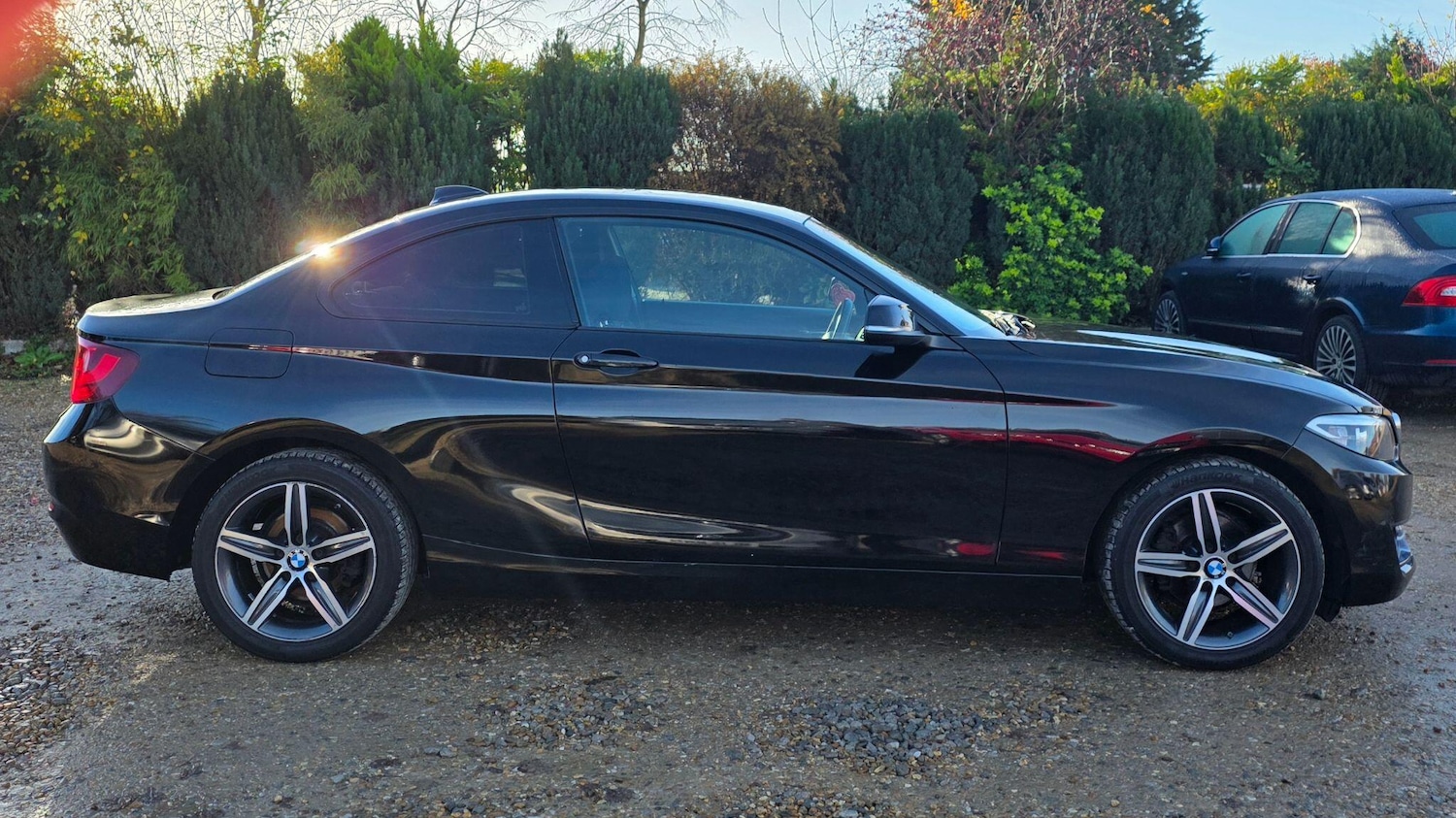 Used BMW 2 Series 2016 for sale - 76935863: Photo 10