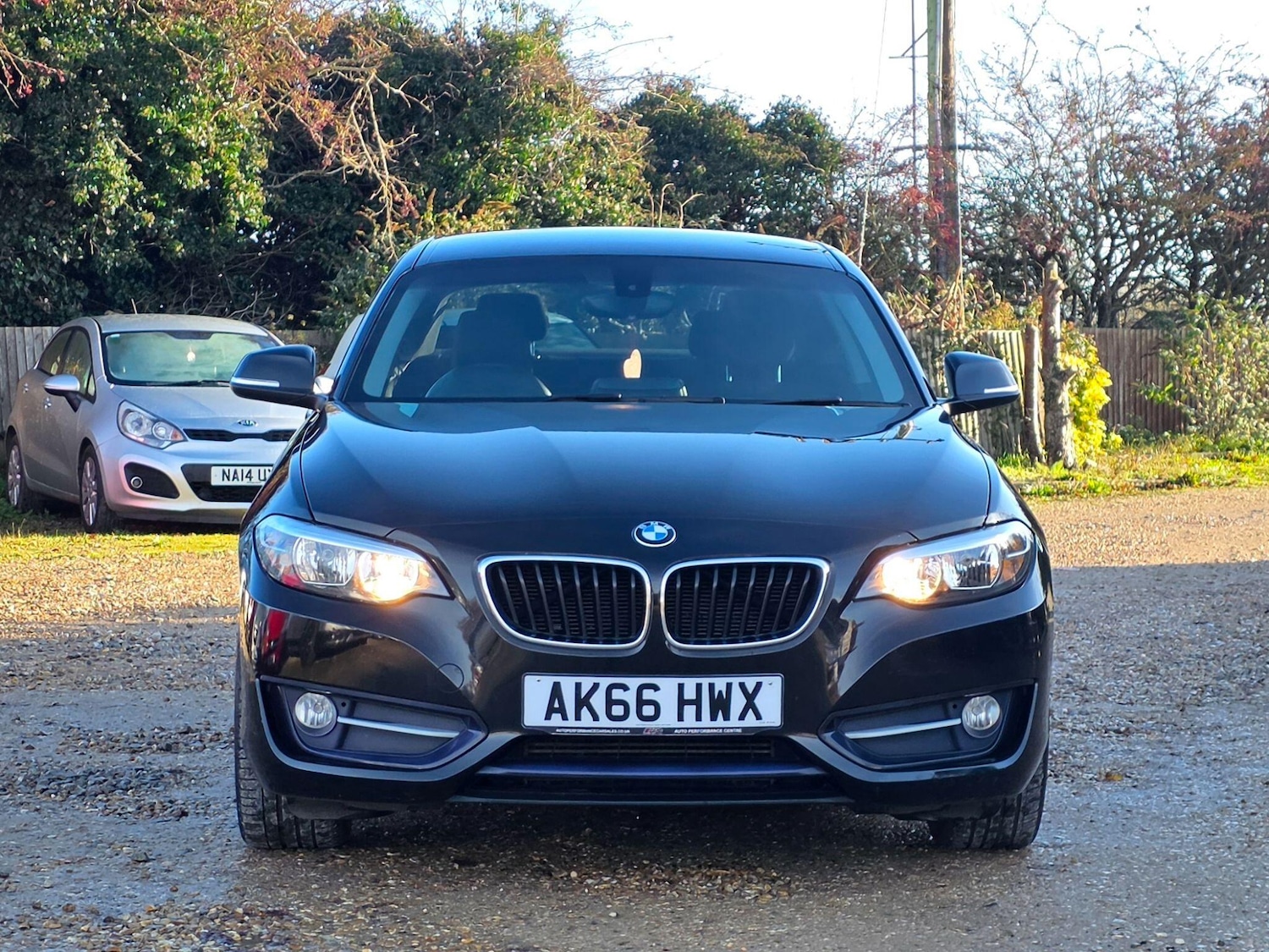 Used BMW 2 Series 2016 for sale - 76935863: Photo 2