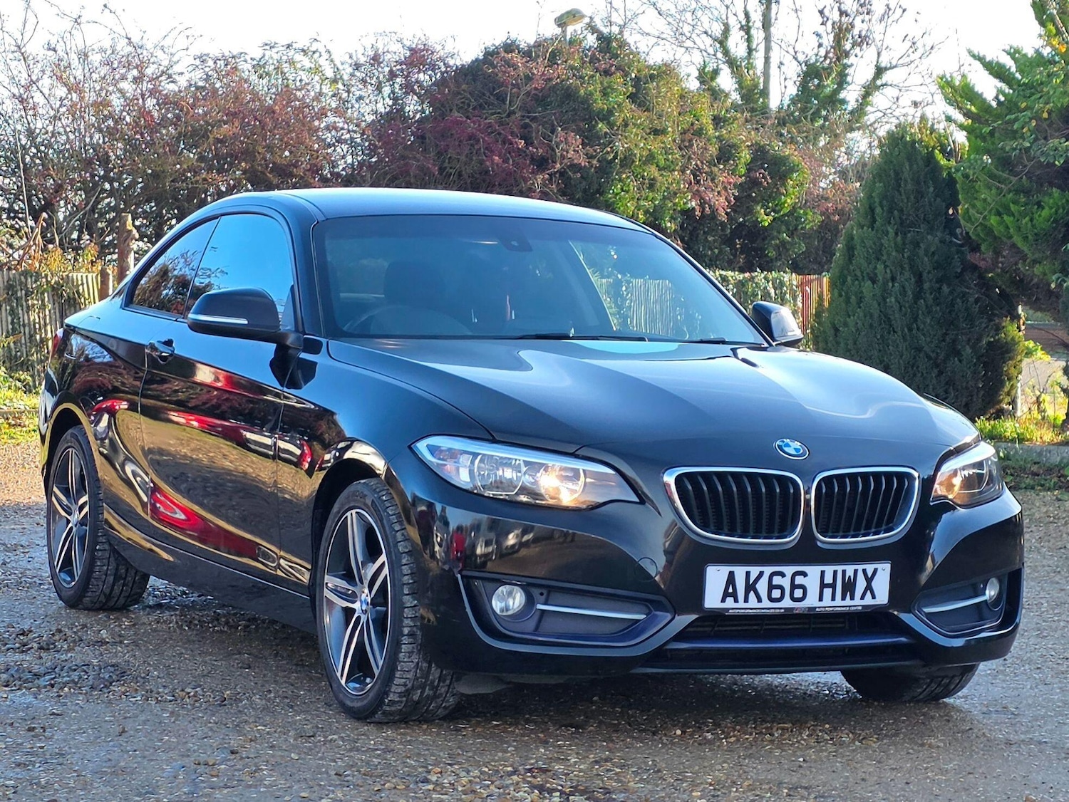 Used BMW 2 Series 2016 for sale - 76935863: Photo 5