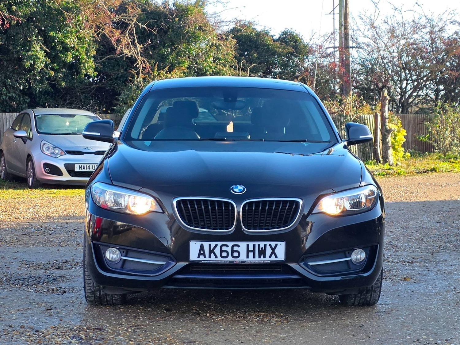 Used BMW 2 Series 2016 for sale - 76935863: Photo 6