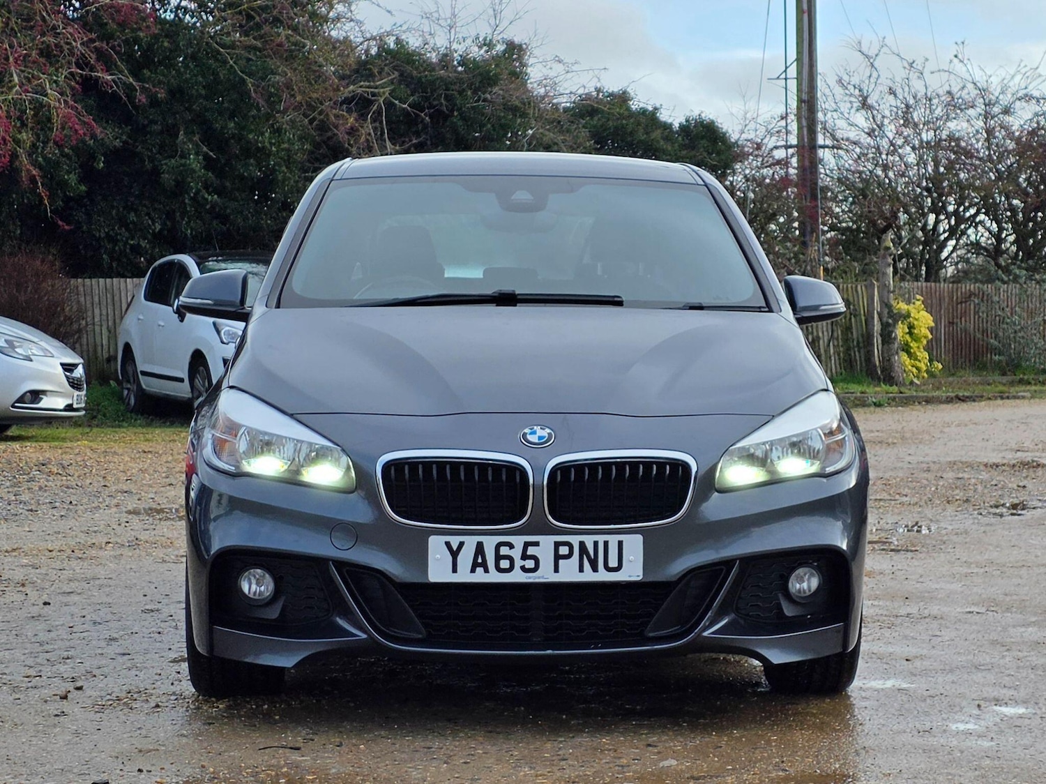 Used BMW 2 Series 2015 for sale - 77396043: Photo 2