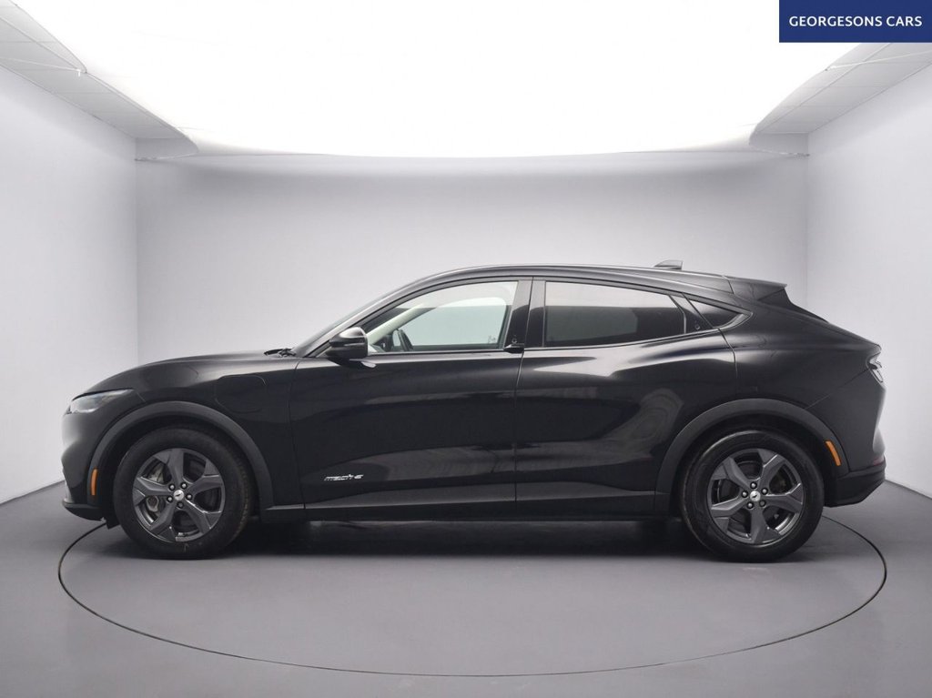 Used Ford Mustang Mach-E 2022 for sale - 77719583: Photo 3