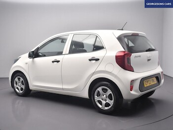 Used Kia Picanto 2023 for sale - 77520534: Photo