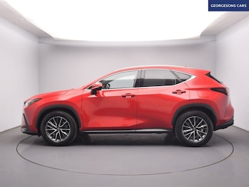 Used Lexus NX 2024 for sale - 79493664: Photo