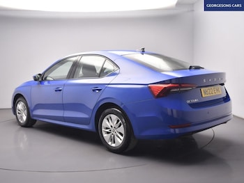 Used Skoda Octavia 2022 for sale - 79562426: Photo