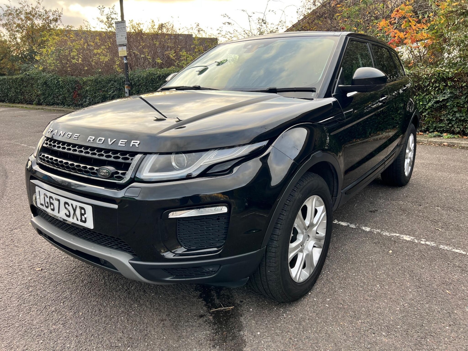 Used Land Rover Range Rover Evoque 2017 for sale - 76561489: Photo 3