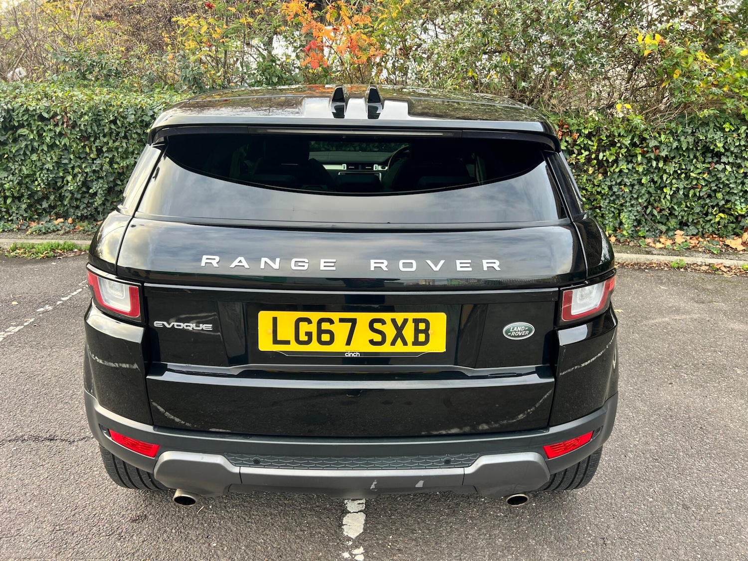 Used Land Rover Range Rover Evoque 2017 for sale - 76561489: Photo 6