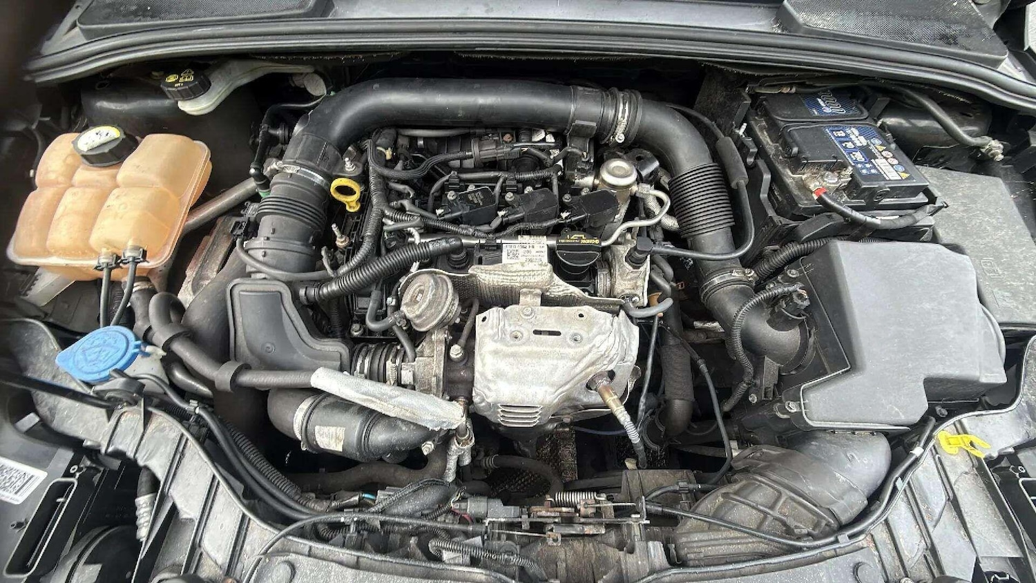 Used Ford Focus 2015 for sale - 77190369: Photo 14