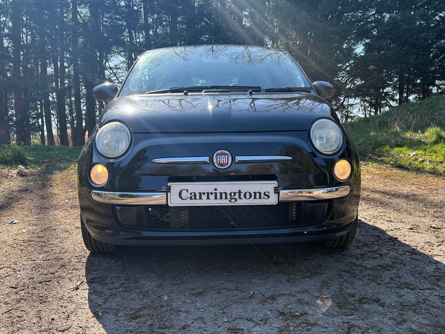 Used Fiat 500 2009 for sale - 77966587: Photo 2