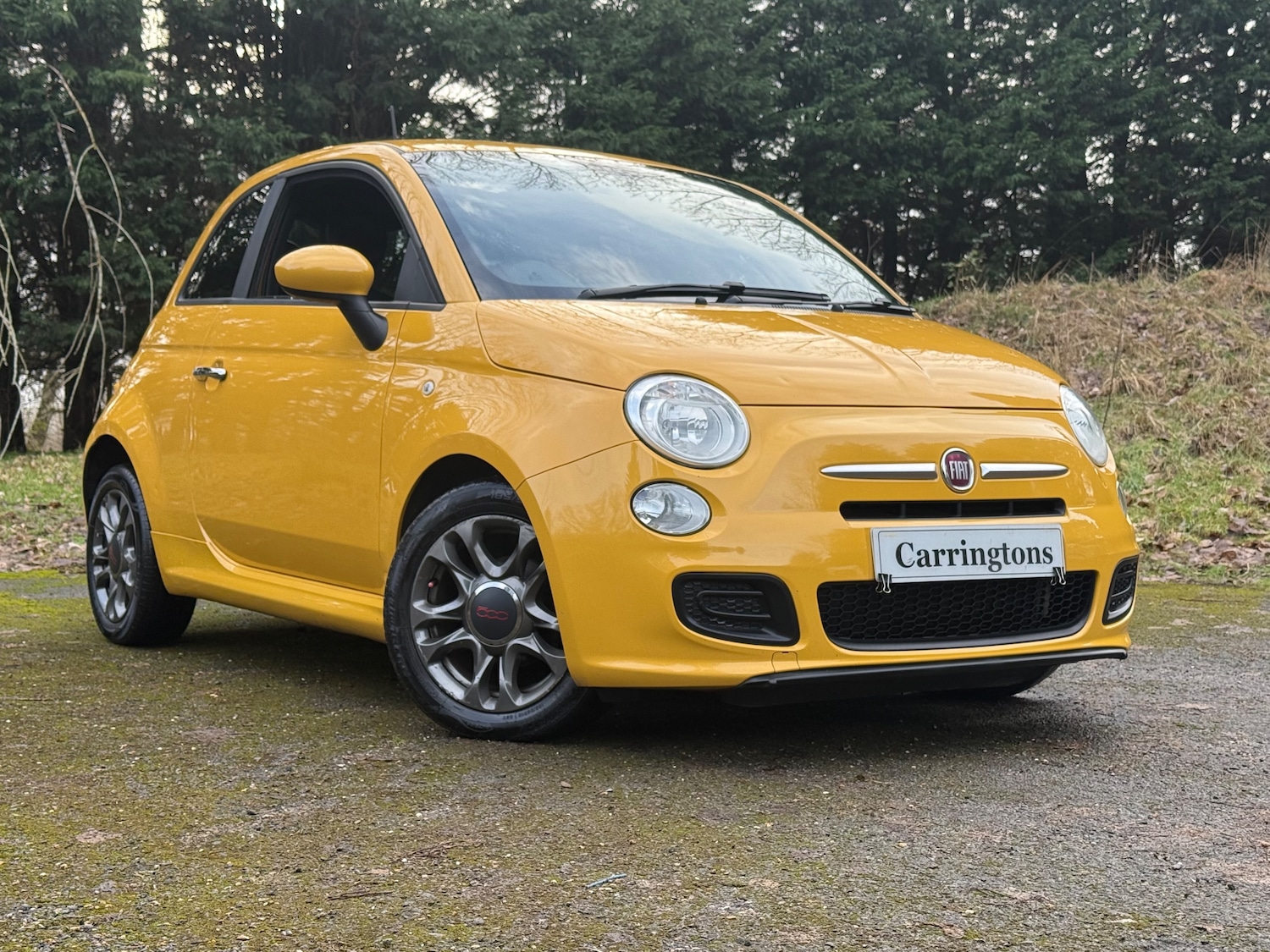 Used Fiat 500 2014 for sale - 77382054: Photo 1