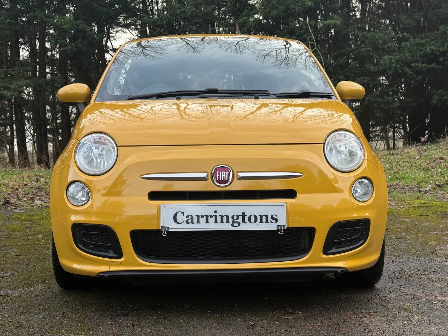 Used Fiat 500 2014 for sale - 77382054: Photo 2