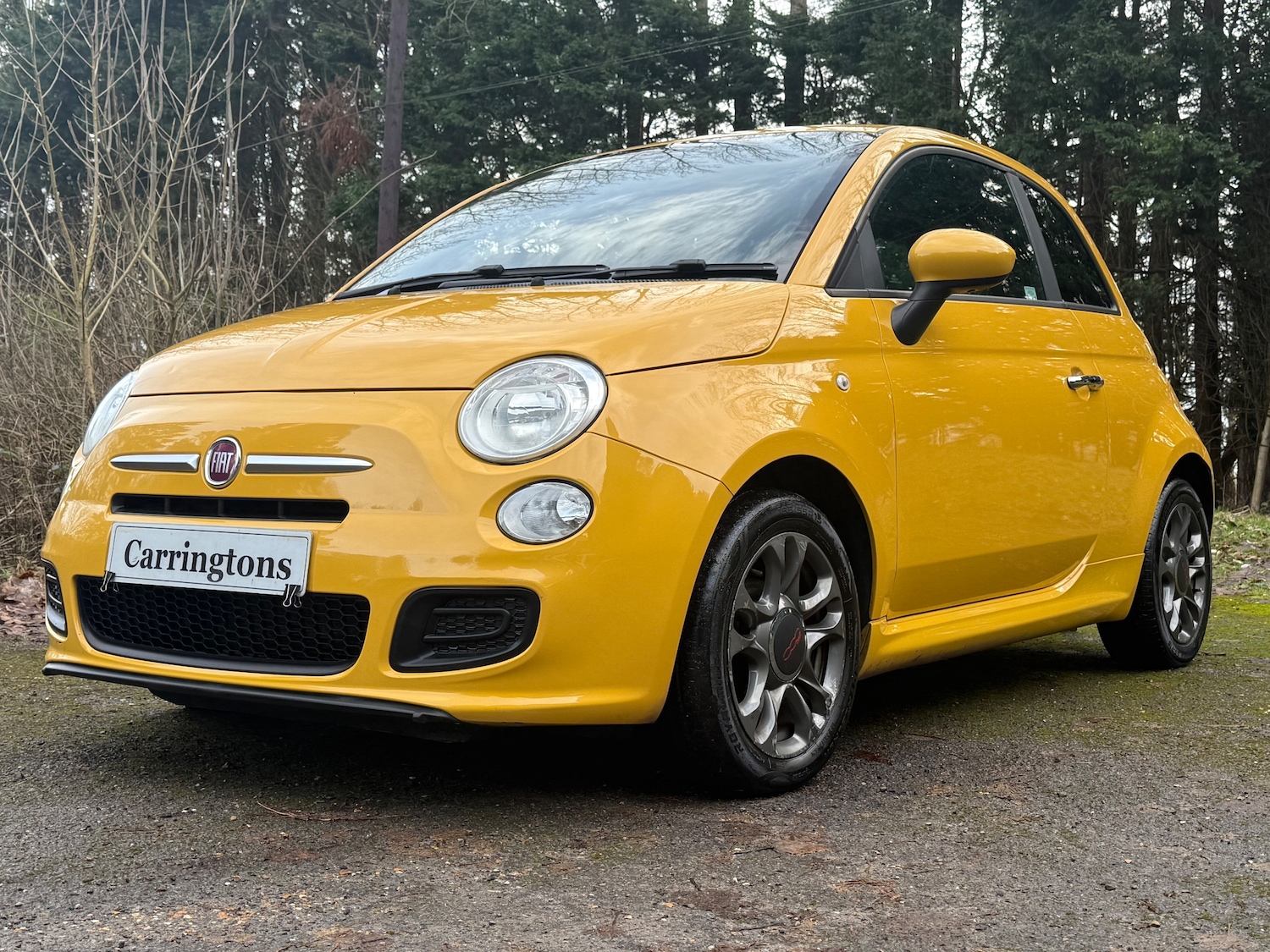Used Fiat 500 2014 for sale - 77382054: Photo 3
