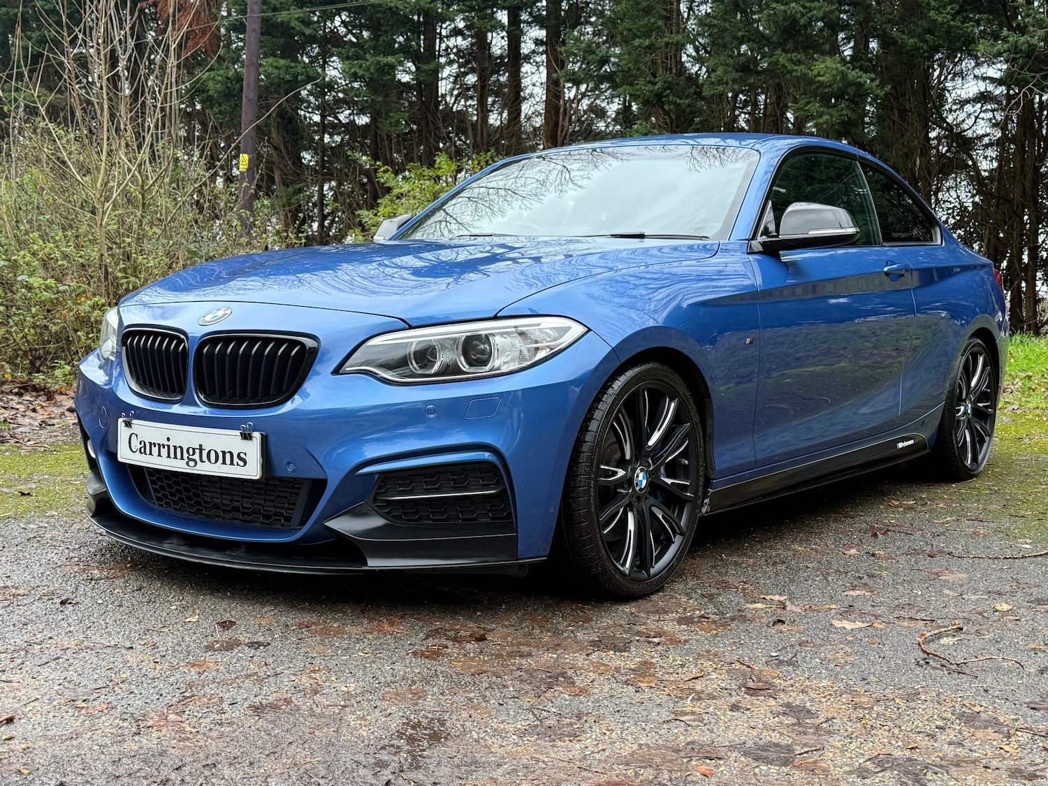 Used BMW 2 Series 2014 for sale - 77110149: Photo 3
