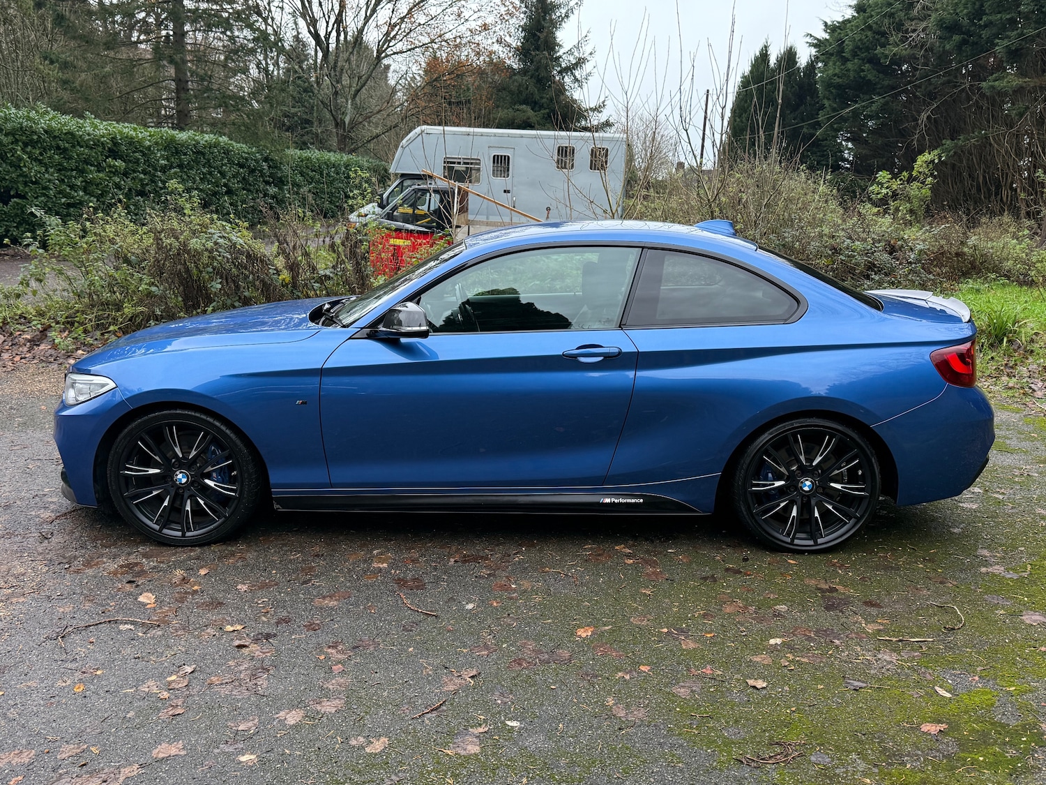 Used BMW 2 Series 2014 for sale - 77110149: Photo 4